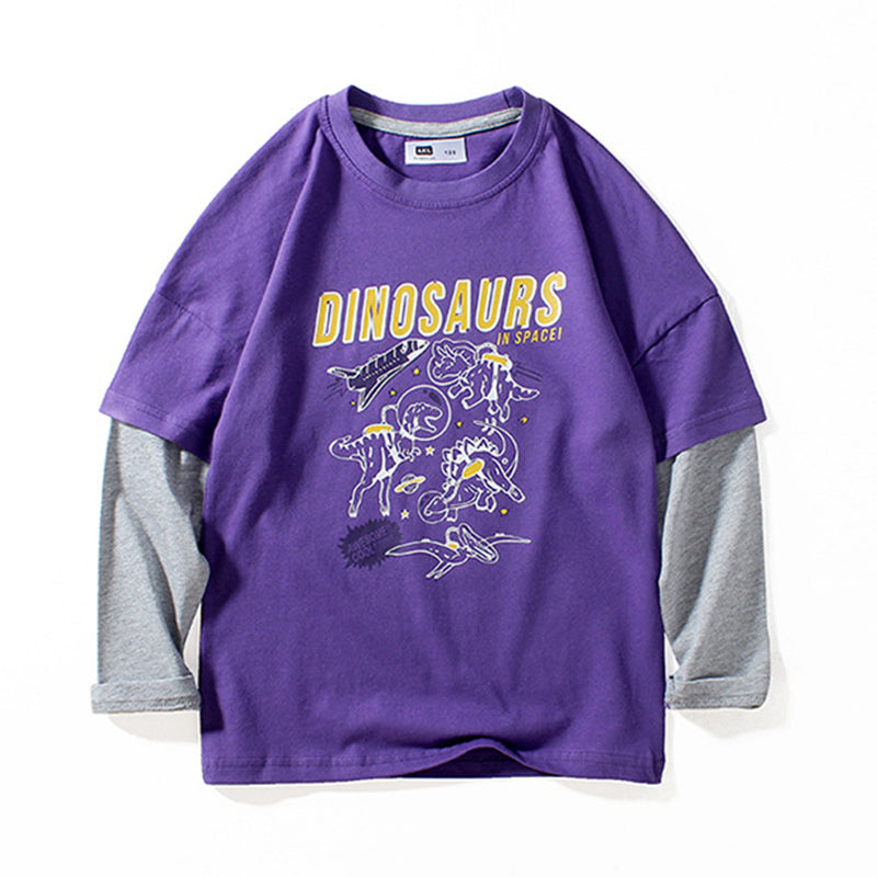 Kid Boys Letters Dinosaur Animals Print Sports Tops Wholesale 211111357