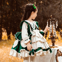 Load image into Gallery viewer, Baby Kid Girls Bow Lace Embroidered Birthday Party Dresses Princess Dresses Wholesale 211115671
