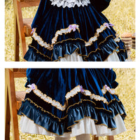 Load image into Gallery viewer, Baby Kid Girls Flower Animals Bow Lace Embroidered Birthday Party Dresses Princess Dresses Wholesale 211115678
