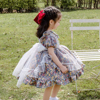 Load image into Gallery viewer, Kid Girls Flower Bow Lace Dresses Princess Dresses Wholesale 211115727
