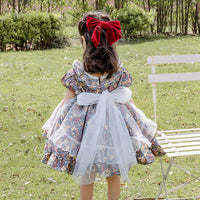 Load image into Gallery viewer, Kid Girls Flower Bow Lace Dresses Princess Dresses Wholesale 211115727
