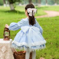Load image into Gallery viewer, Kid Girls Solid Color Bow Lace Dressy Dresses Princess Dresses Wholesale 211115739
