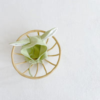 Load image into Gallery viewer, Baby Kid Girls Solid Color Rompers Wholesale 211116222
