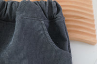 Load image into Gallery viewer, 2 Pieces Set Baby Kid Girls Boys Animals Embroidered Hoodies Swearshirts And Cartoon Pants Wholesale 211125358
