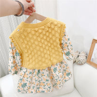 Load image into Gallery viewer, Baby Kid Girls Flower Print Dresses And Solid Color Vests Waistcoats Knitwear Wholesale 211125451
