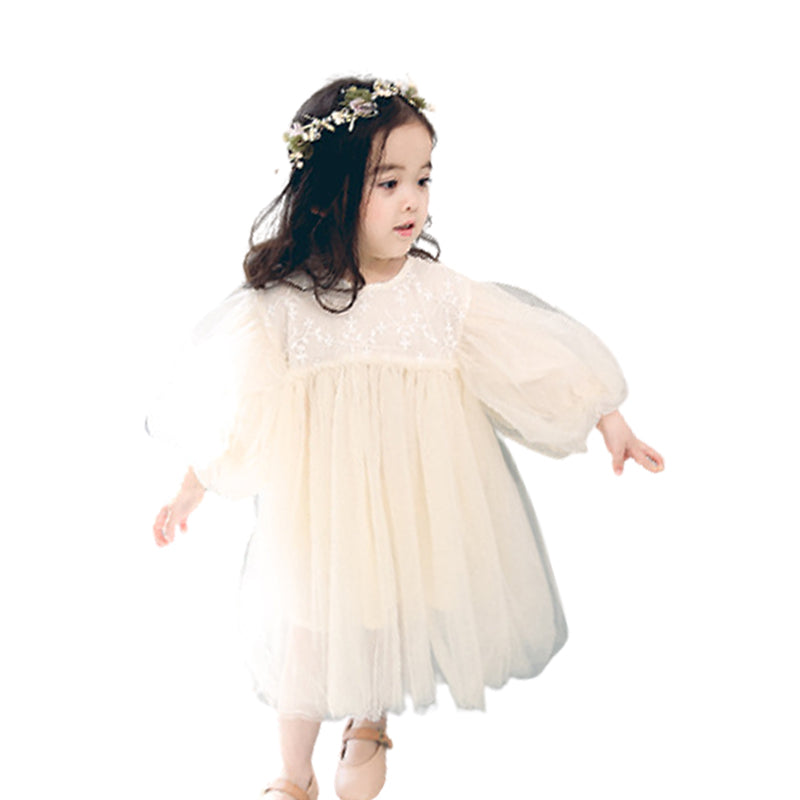 Baby Kid Girls Solid Color Embroidered Dresses Wholesale 21120301