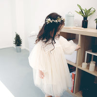 Load image into Gallery viewer, Baby Kid Girls Solid Color Embroidered Dresses Wholesale 21120301
