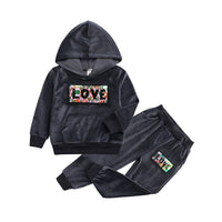 Load image into Gallery viewer, 2 Pieces Set Baby Kid Unisex Letters Wings Print Hoodies Swearshirts And Color-blocking Pants Wholesale 263011881
