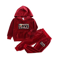 Load image into Gallery viewer, 2 Pieces Set Baby Kid Unisex Letters Wings Print Hoodies Swearshirts And Color-blocking Pants Wholesale 263011881
