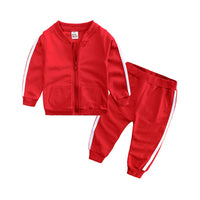 Load image into Gallery viewer, 2 Pieces Set Baby Unisex Striped Jackets Outwears And Pants Wholesale 220114219

