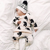 Load image into Gallery viewer, 2 Pieces Set Baby Kid Unisex Tops And Pants Wholesale 22011437
