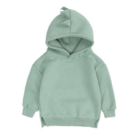 Load image into Gallery viewer, Kid Girls Boys Solid Color Dinosaur Hoodies Swearshirts Wholesale 220114421
