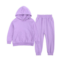 Load image into Gallery viewer, 2 Pieces Set Baby Kid Big Kid Unisex Sports Solid Color Hoodies&amp;Swearshirts And Pants Wholesale 048011885
