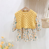Load image into Gallery viewer, Baby Kid Girls Solid Color Crochet Vests&amp;Waistcoats And Flower Print Dresses Wholesale 220114475
