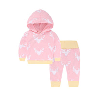 Load image into Gallery viewer, 2 Pieces Set Baby Boys Solid Color Hoodies Swearshirts And Pants Wholesale 22011475
