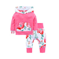 Load image into Gallery viewer, 2 Pieces Set Baby Boys Solid Color Hoodies Swearshirts And Pants Wholesale 22011475
