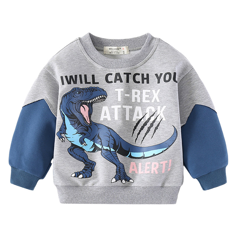 Baby Kid Boys Letters Color-blocking Dinosaur Animals Print Hoodies&Swearshirts Wholesale 220214368