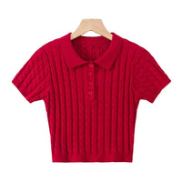 Load image into Gallery viewer, Women Solid Color Polo Shirts Knitwear Wholesale 220224208
