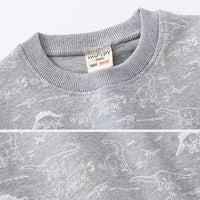 Load image into Gallery viewer, Baby Kid Boys Dinosaur Print Hoodies Swearshirts Wholesale 220302181
