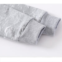 Load image into Gallery viewer, Baby Kid Boys Dinosaur Print Hoodies Swearshirts Wholesale 220302181
