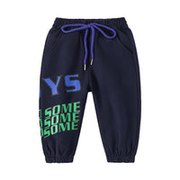 Load image into Gallery viewer, Baby Kid Boys Letters Pants Wholesale 220302394
