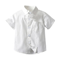 Load image into Gallery viewer, Baby Kid Big Kid Boys Solid Color Shirts Wholesale 220302397
