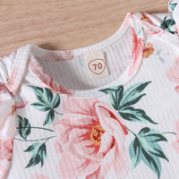 Load image into Gallery viewer, 3 Pieces Set Baby Girls Flower Print Rompers Dresses And Bow Headwear Wholesale 220315199
