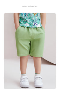 Load image into Gallery viewer, Baby Kid Big Kid Boys Solid Color Shorts Wholesale 220317197
