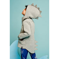 Load image into Gallery viewer, Baby Kid Unisex Solid Color Dinosaur Jackets Outwears Wholesale 22032206
