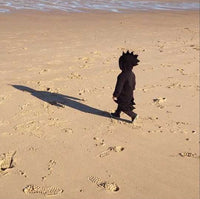 Load image into Gallery viewer, Baby Kid Unisex Solid Color Dinosaur Jackets Outwears Wholesale 22032206
