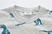Load image into Gallery viewer, Baby Kid Boys Dinosaur Cartoon Print T-Shirts Wholesale 22032384
