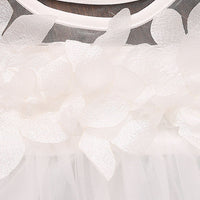 Load image into Gallery viewer, Baby Girls Flower Dresses Wholesale 22033004
