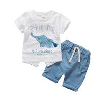 Load image into Gallery viewer, 2 Pieces Set Baby Kid Boys Cartoon Print Tops And Striped Solid Color Shorts Wholesale 220330115
