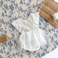 Load image into Gallery viewer, Baby Girls Solid Color Lace Embroidered Rompers Wholesale 220330248
