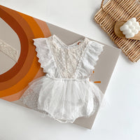 Load image into Gallery viewer, Baby Girls Solid Color Lace Embroidered Rompers Wholesale 220330248
