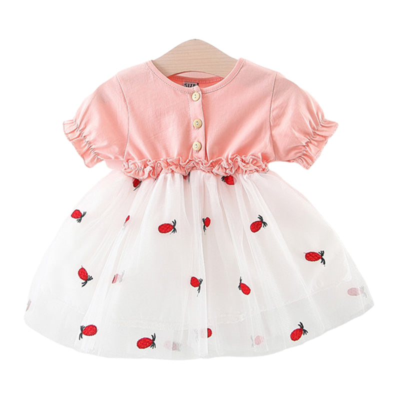 Baby Girls Fruit Embroidered Dresses Wholesale 22033037