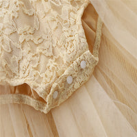 Load image into Gallery viewer, Baby Girls Rainbow Bow Lace Embroidered Rompers Wholesale 220330408
