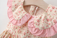 Load image into Gallery viewer, Baby Kid Girls Flower Print Dresses Wholesale 220330468
