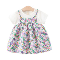 Load image into Gallery viewer, Baby Girls Flower Print Dresses Wholesale 220330591

