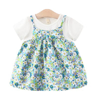 Load image into Gallery viewer, Baby Girls Flower Print Dresses Wholesale 220330591

