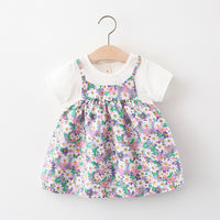 Load image into Gallery viewer, Baby Girls Flower Print Dresses Wholesale 220330591
