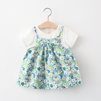 Load image into Gallery viewer, Baby Girls Flower Print Dresses Wholesale 220330591
