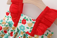 Load image into Gallery viewer, Baby Girls Color-blocking Flower Bow Print Dresses Wholesale 220330610
