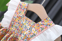 Load image into Gallery viewer, Baby Girls Color-blocking Flower Bow Print Dresses Wholesale 220330620
