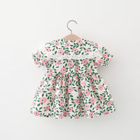 Load image into Gallery viewer, Baby Girls Flower Lace Print Dresses Wholesale 220330696
