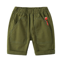 Load image into Gallery viewer, Kid Boys Dinosaur Animals Print Shorts Wholesale 220407240
