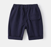 Load image into Gallery viewer, Kid Boys Dinosaur Animals Print Shorts Wholesale 220407240
