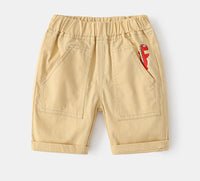 Load image into Gallery viewer, Kid Boys Dinosaur Animals Print Shorts Wholesale 220407240
