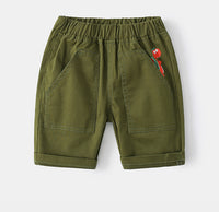 Load image into Gallery viewer, Kid Boys Dinosaur Animals Print Shorts Wholesale 220407240
