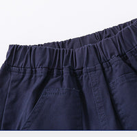 Load image into Gallery viewer, Kid Boys Dinosaur Animals Print Shorts Wholesale 220407240
